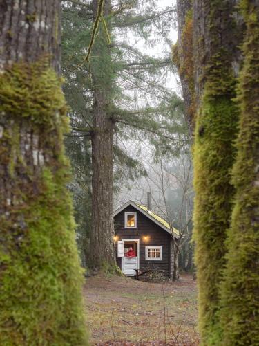 Brackendale Resort | Sunwolf Riverside Cabins