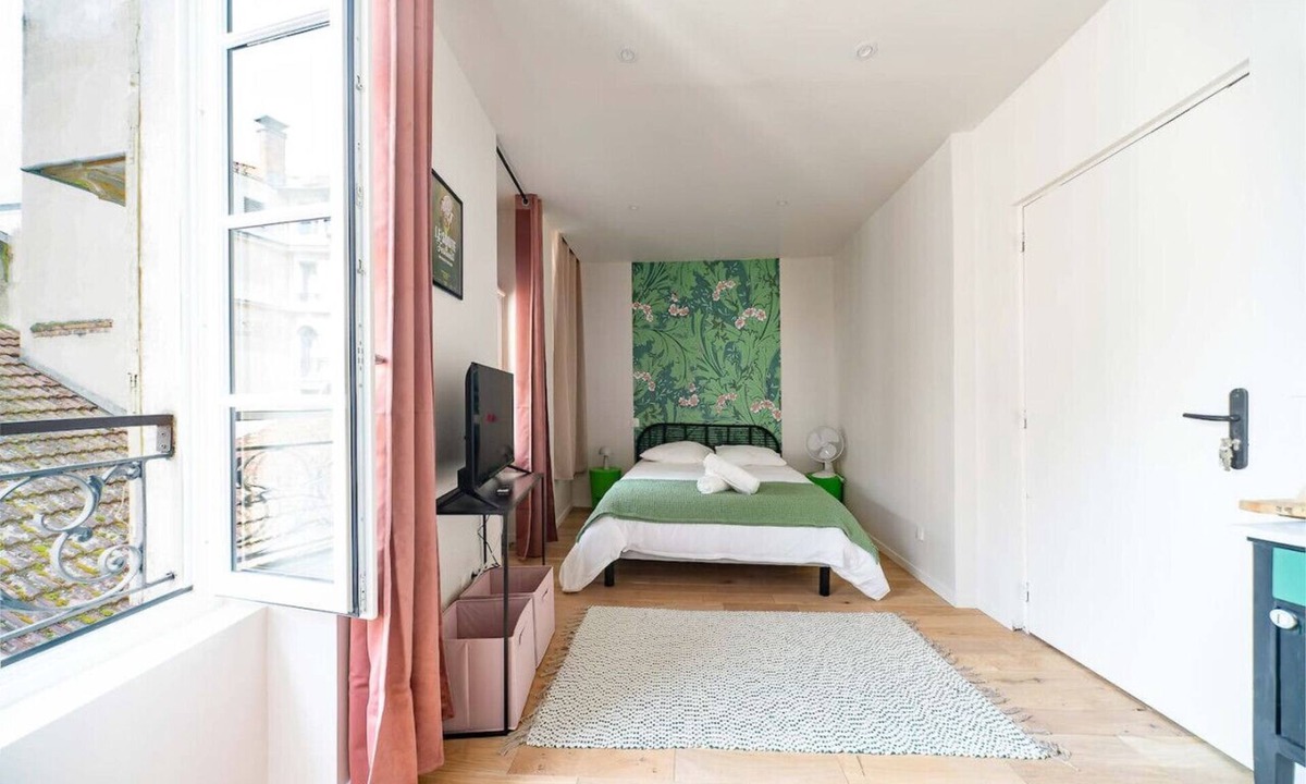 Vieux Vichy Apartment | Superbe studio climatisé dans immeuble classé
