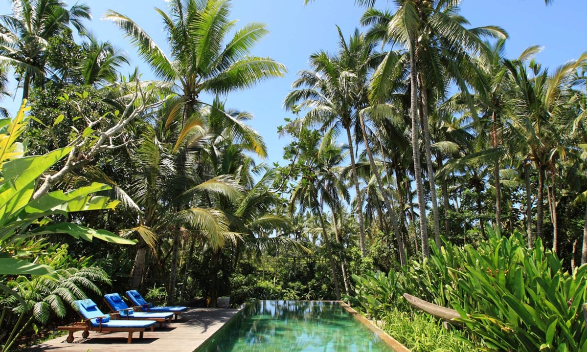 Melayang Resort | Swarapadi Villa