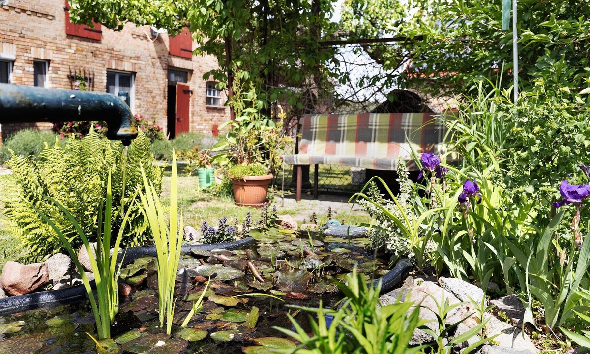 Friedland House | Switch Off from Everyday Life, Enjoy Peace and Nature