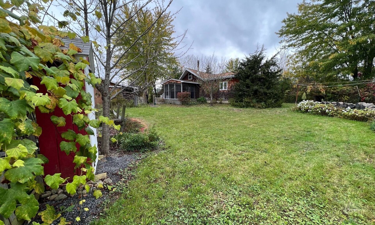 Bluff Point Cottage | Take it easy at this unique and tranquil country cottage.