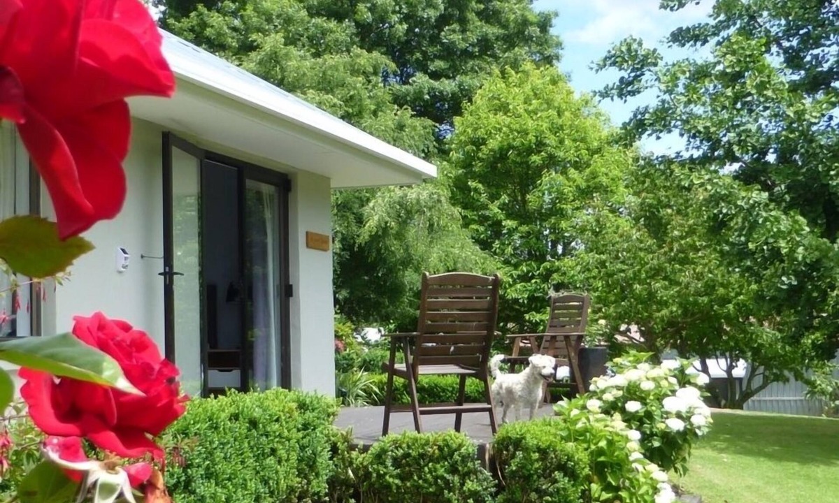 Aongatete House | Tasteful spacious private garden quest house