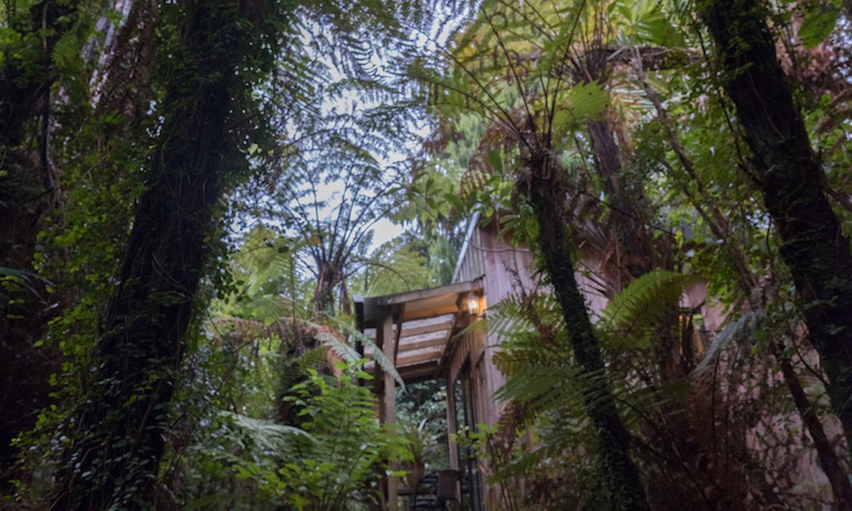 Punakaiki Hostel | Te Nikau Retreat - Hostel