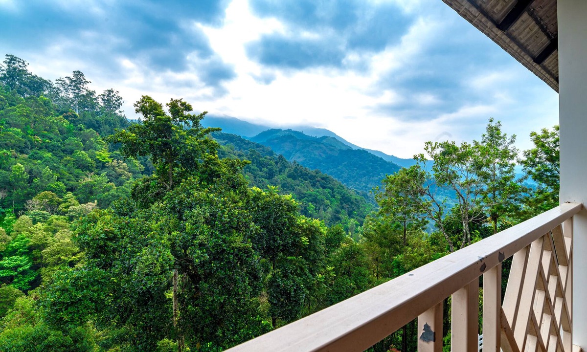 Chithirapuram Hotel | Tea Harvester Munnar