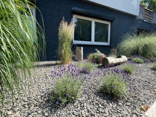 Holzminden Apartment | Team LILO