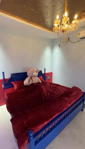 Malpe House | Teddy