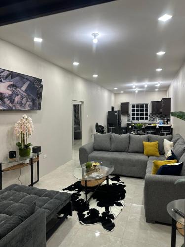 Lowlands Apartment | Teddys Suites
