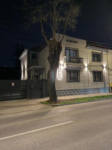 Satu Mare House | Tempo