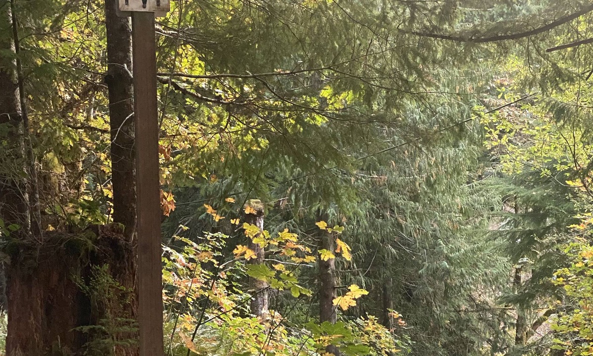 Port Angeles RV Rental | Tent campsite w/lake view on Lake Sutherland!