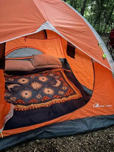 Boulazac-Isle-Manoire Other | Tente en jardin