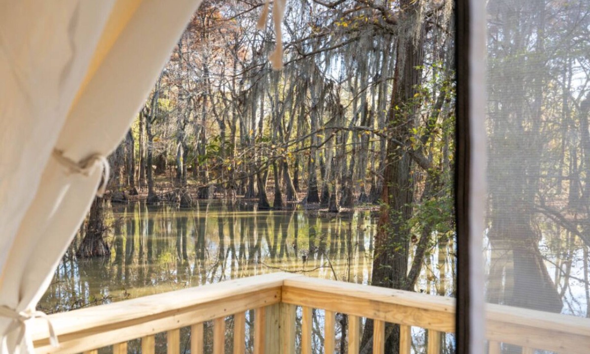 Jackson RV Rental | Tentrr State Park Site - Mississippi LeFleur's Bluff State Park - By the Bayou D