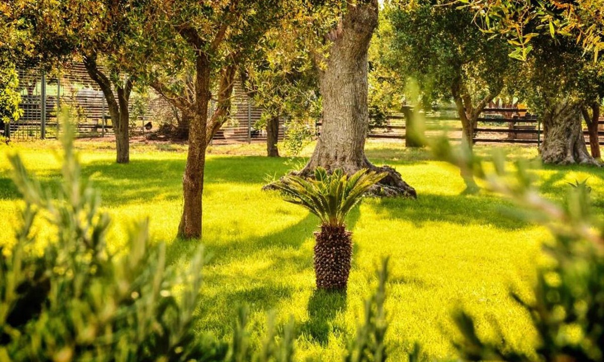 Nardo House | Tenuta Corano Nardò