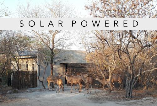 Marloth Park House | Terrapin Studio