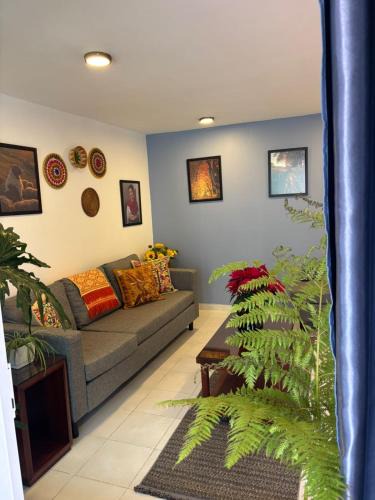 Amecameca House | Terraza Amecameca 2