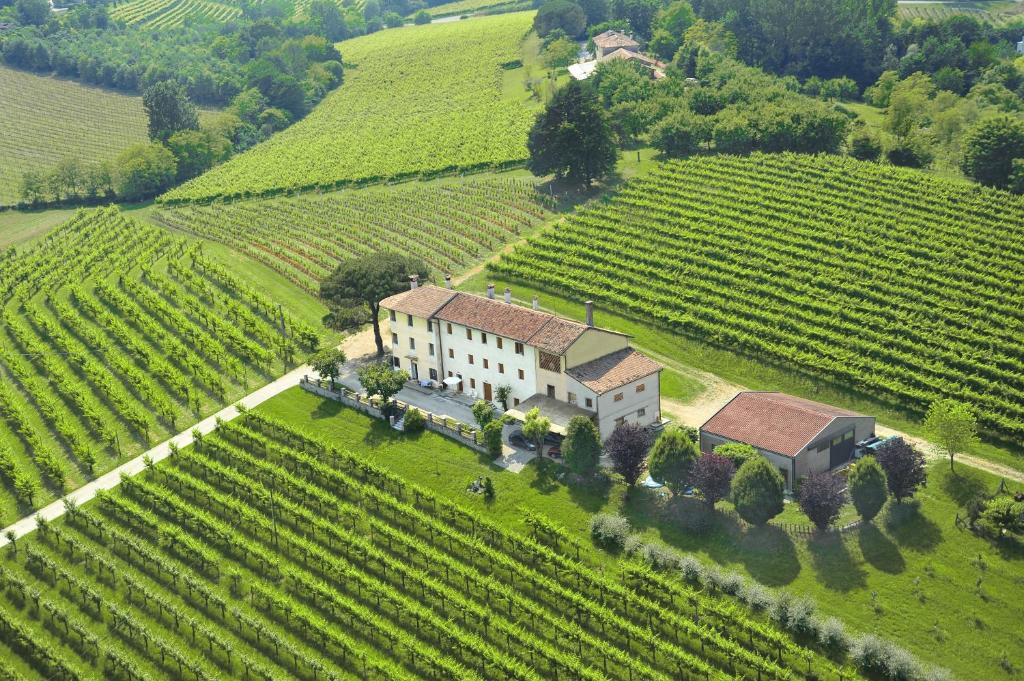 Susegana Bed & Breakfast | Terre Boscaratto