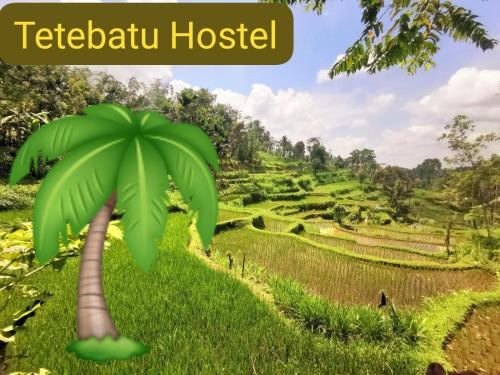 Tetebatu Hostel | Tetebatu Hostel
