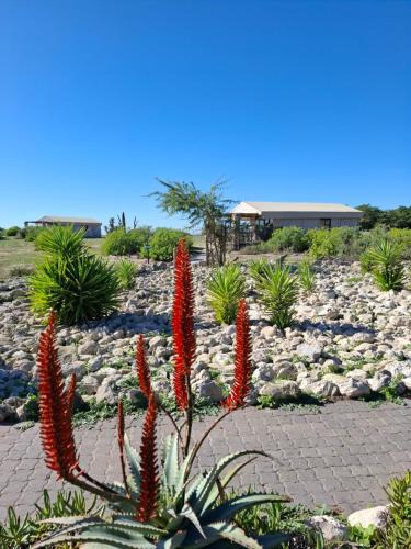 Langebaan Cabin | Thali Thali Game Lodge
