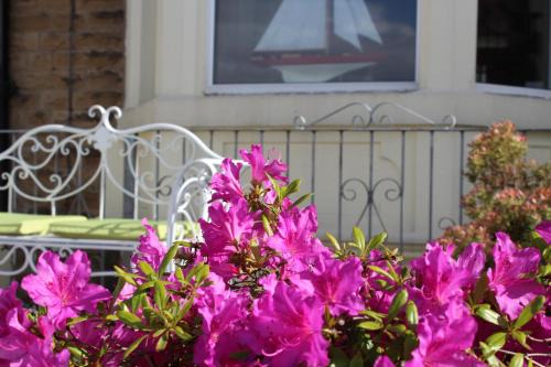 Slyne House | The Ashley