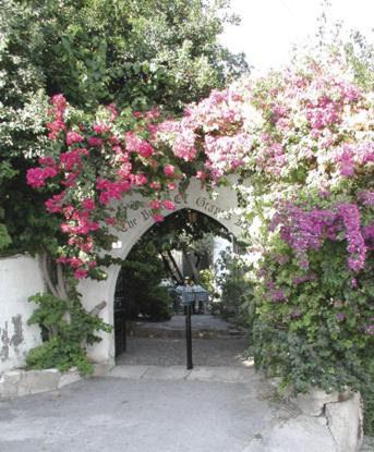 Pissouri Hotel | The Bunch Of Grapes Inn