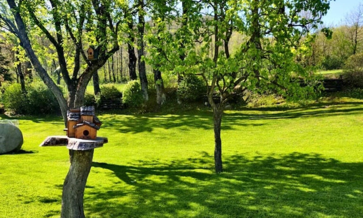 Primaore Cottage | The Cottage