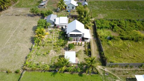 Pemenang House | The Daun Puntik HomeStay
