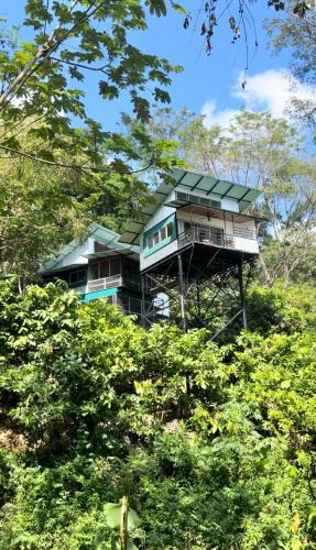 Parrita House | The Emerald Haven