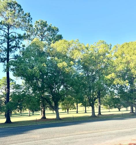 Wauchope Apartment | The Fairway View Apartment