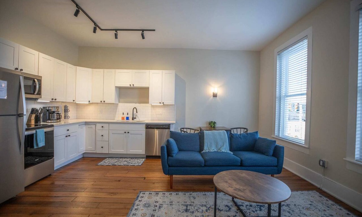 Floyd Apartment | The Farmer's Supply-Unit 201 in Historic Downtown Floyd