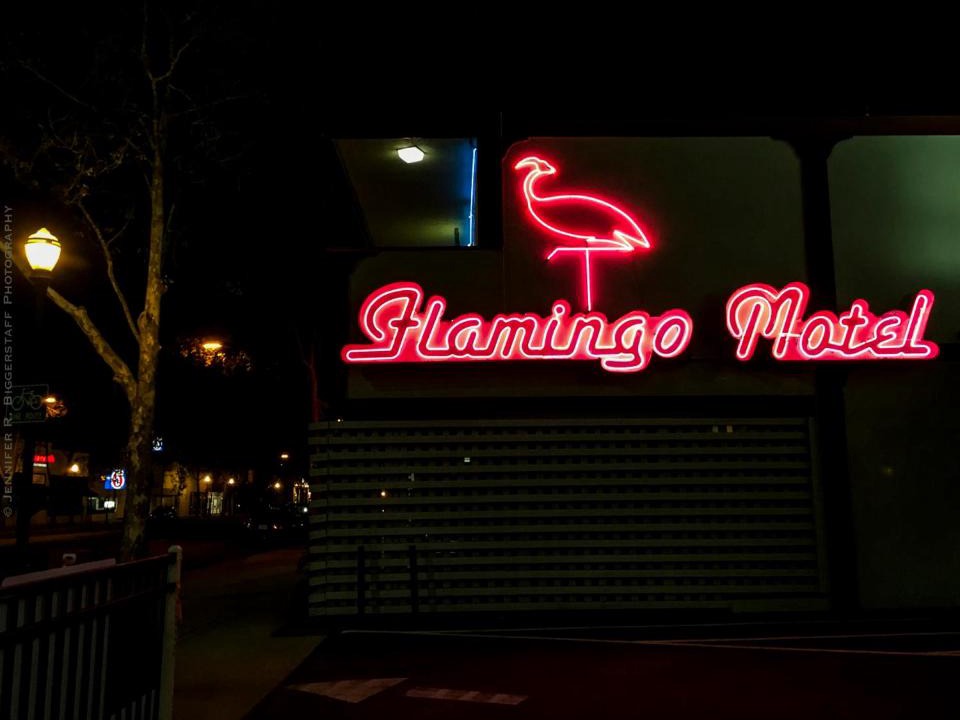 St. Leo's Hotel | The Flamingo Motel San Jose