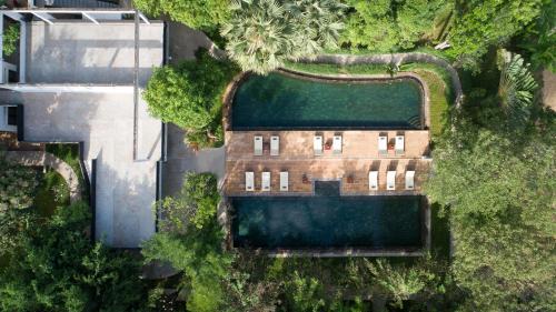 Siem Reap Resort | The Forest