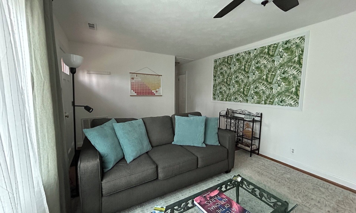 Fry's Spring House | The Grove: Comfy living in Cville Brand New!
