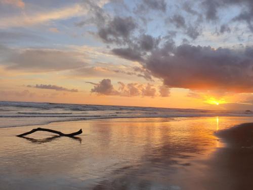 Myoli Beach House | The Gull