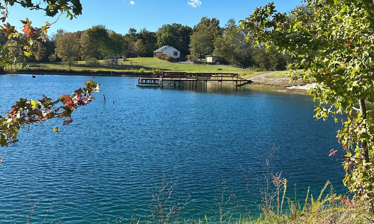 Almo House | The Hidden Maple - 10 minutes to MSU - Pet & Kid Friendly - Secluded with Pond!