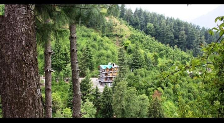 Naggar Bed & Breakfast | The Himalayan Stay Bnb