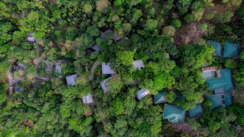 Muttil South Hotel | The Hive Wayanad