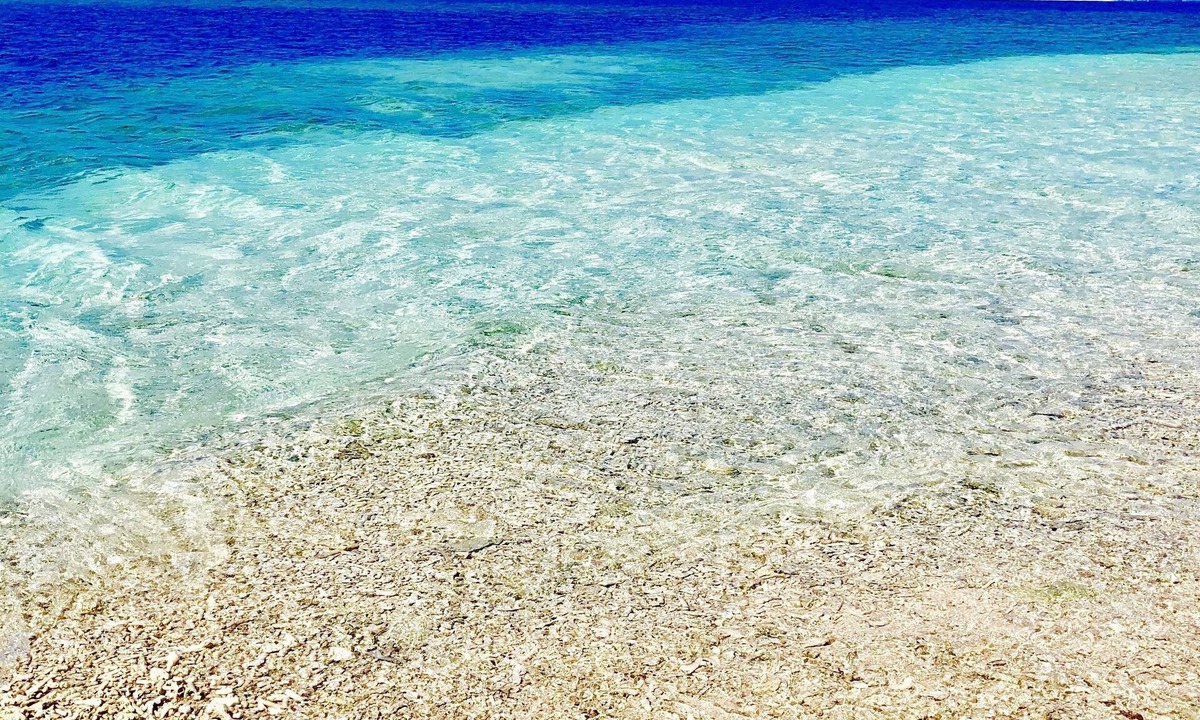 Iriomote-jima Taketomi-cho Hotel | The Iriomote Island Hotel HOSHITATE