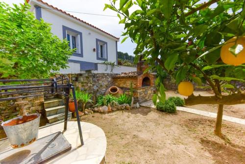 Samos Town House | The Kalivi