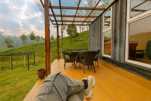 Coonoor House | The Leafy Nook Container Stay- 360 degree Tea Plantation near Ooty
