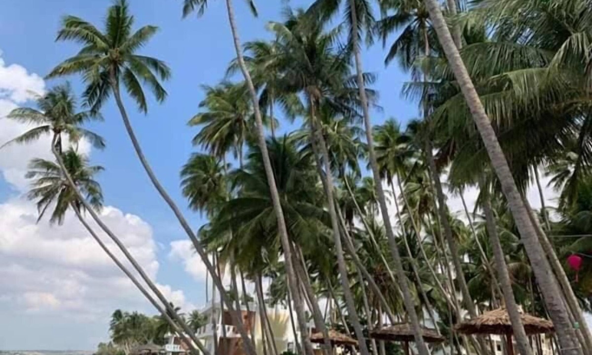 East Ham Tien Beach Hotel | The Legend Coco Beach