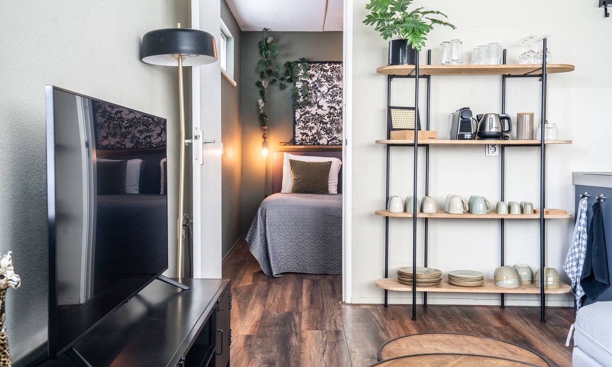 Groningen Apartment | The Lion King