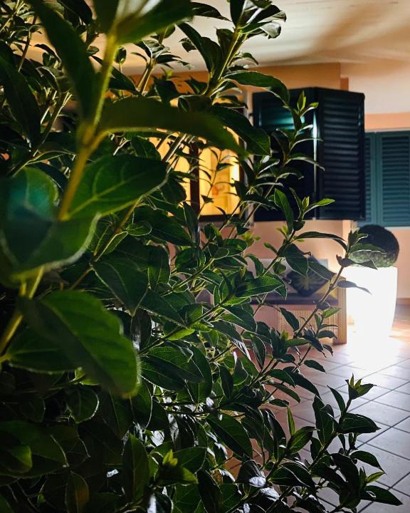 Empoli Apartment | The Loft E&E Open Space