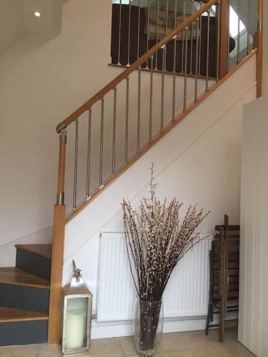 New Forest District Apartment | The Loft