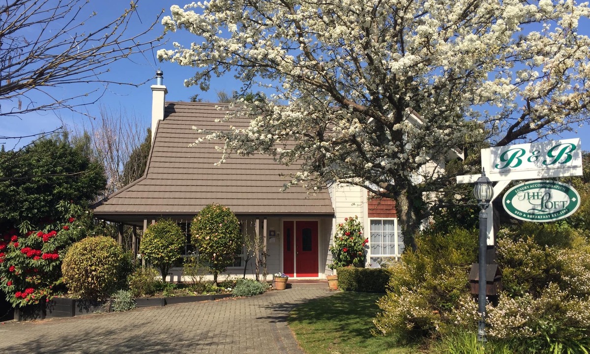 Acacia Bay Bed & Breakfast | The Loft