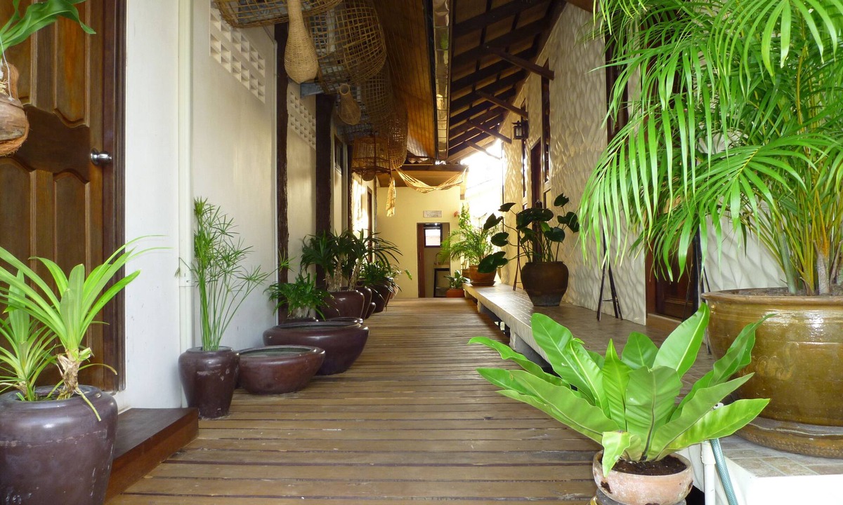 Koh Chang Tai Hotel | The Mangrove Hideaway Koh Chang