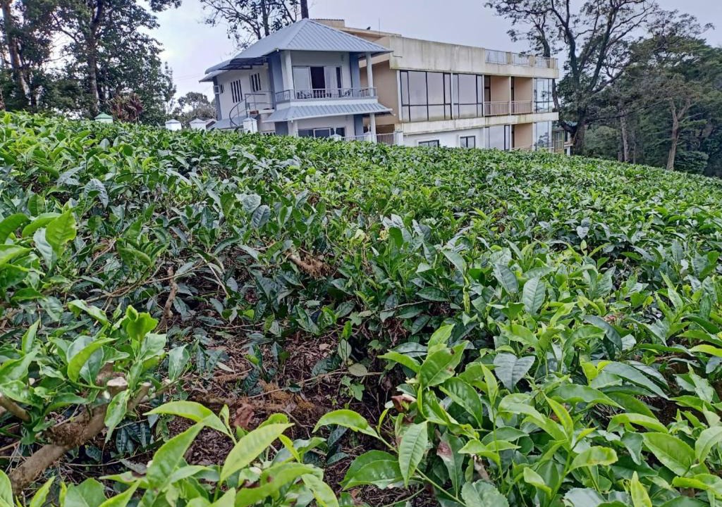 Pallivasal Resort | The Nirvana Resort Munnar