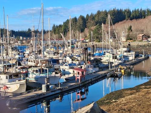 Alert Bay Hotel | The Orca Inn