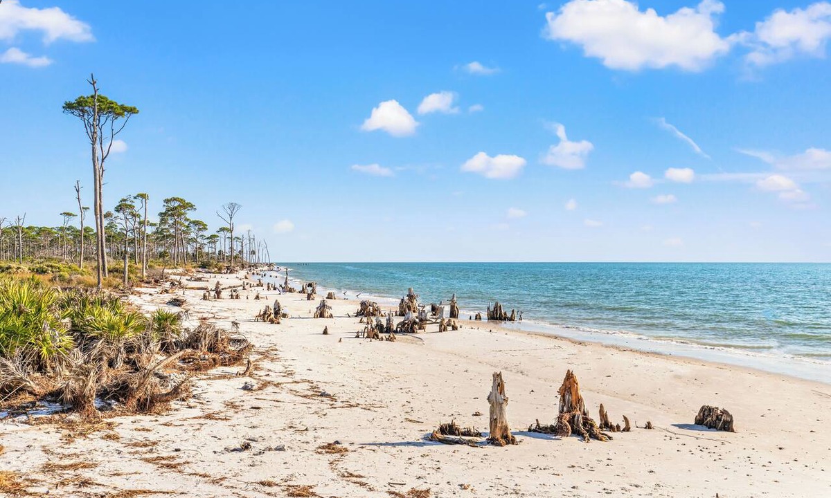 Port St. Joe Condo | The Pink Flamingo Boutique Motel