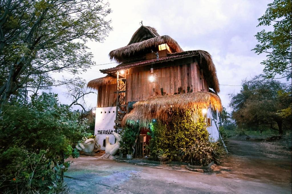 Gili Meno Hostel | The Rabbit Tree Hostel