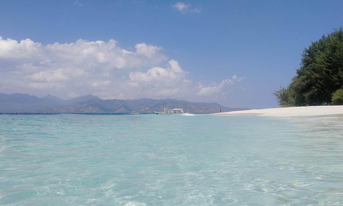 Gili Meno Hostel | The Rabbit Tree - Hostel
