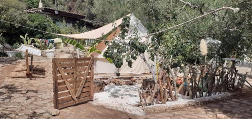 Marina di Marittima Other | The Shepherd tent on Acquaviva Bay
